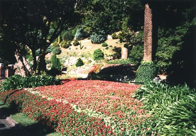 botanical garden 2