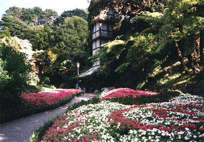 botanical garden 1