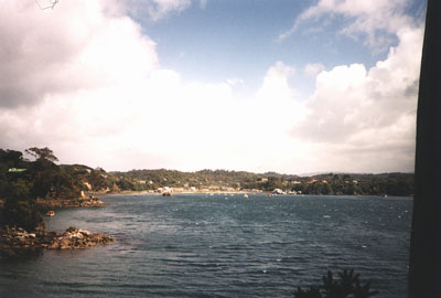 stewart island 1