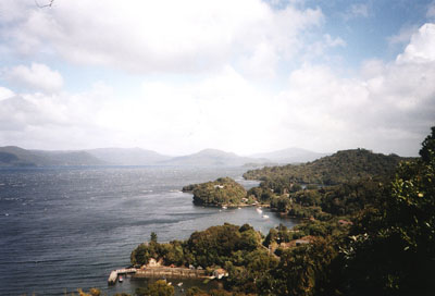 stewart island 2