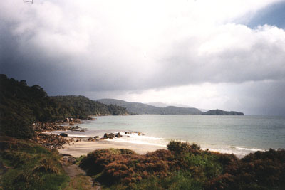 stewart island 3